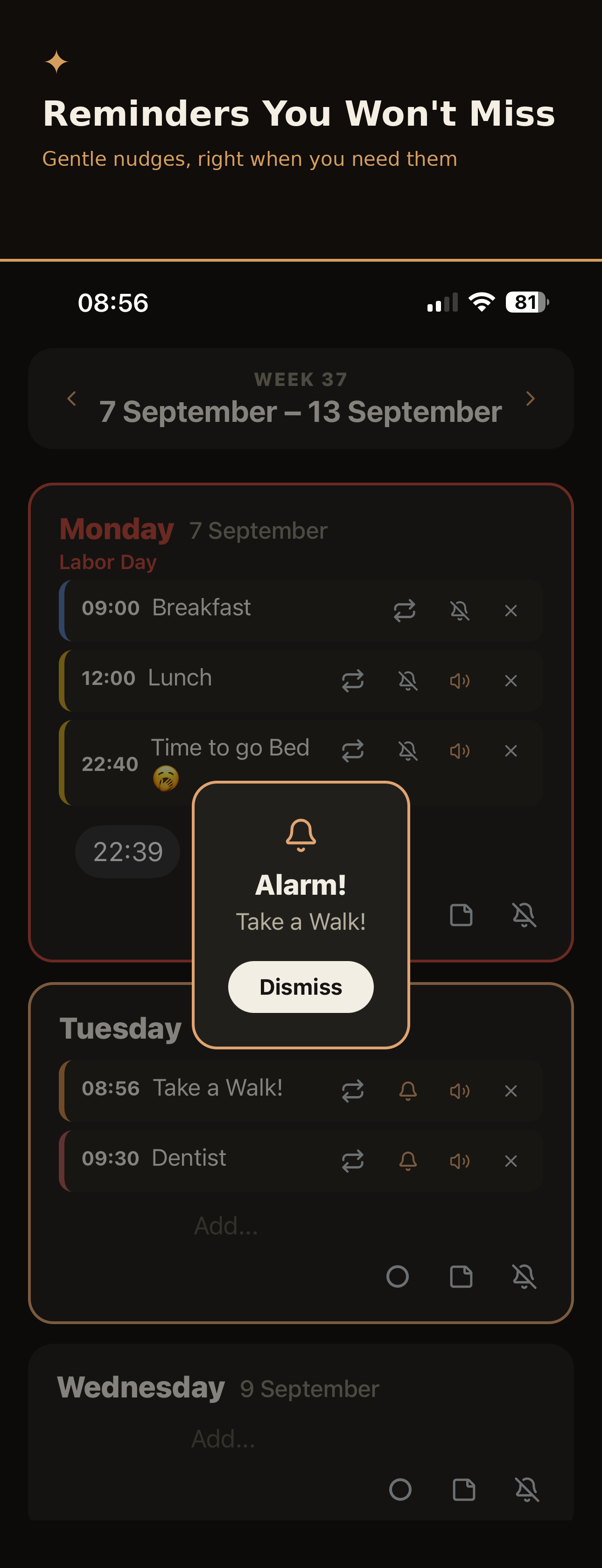 Setting an alarm in WeekSpark